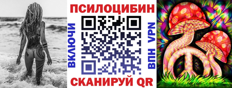 Псилоцибиновые грибы GOLDEN TEACHER Курганинск