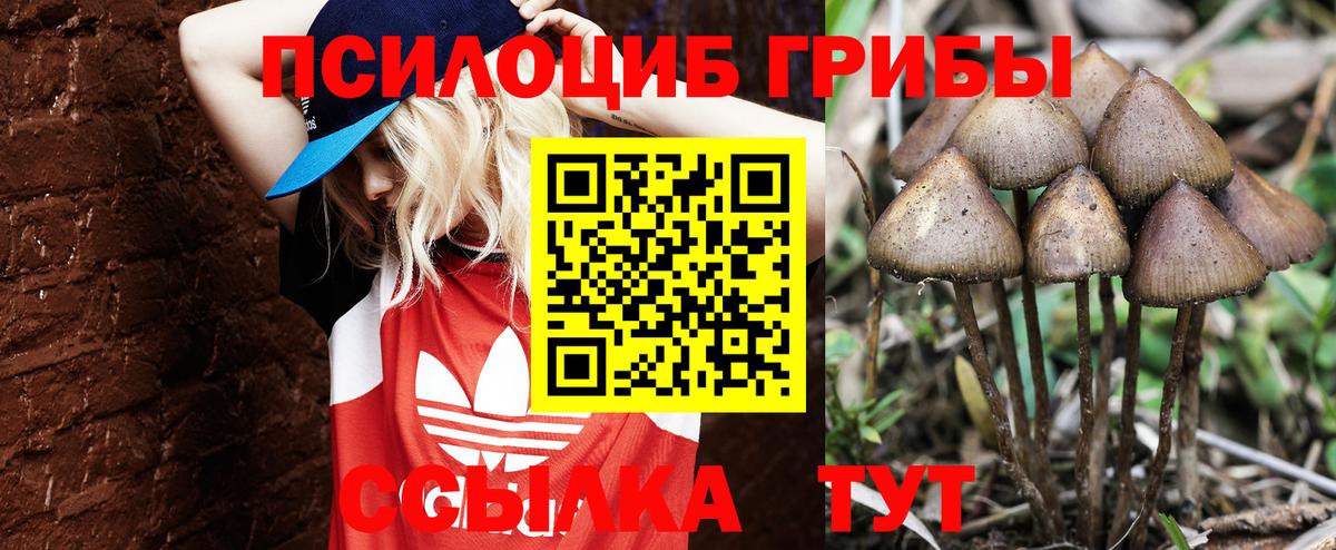 Галлюциногенные грибы ЛСД Курганинск
