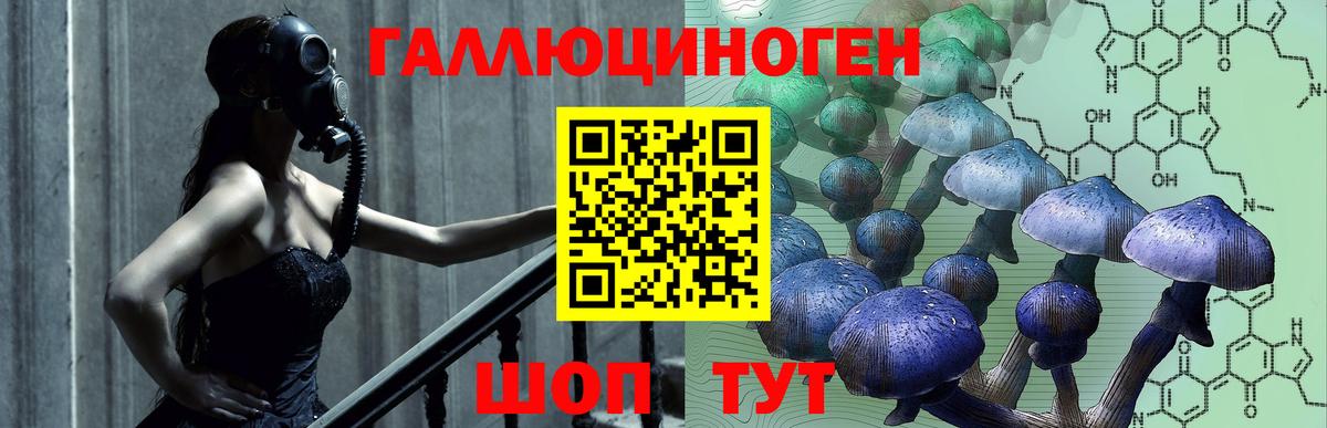 Курганинск  Псилоцибиновые грибы мухоморы  Псилоцибиновые грибы Psilocybe  Вход с VPN 